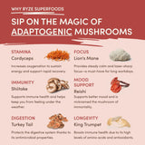 Mushroom Chai Select M213