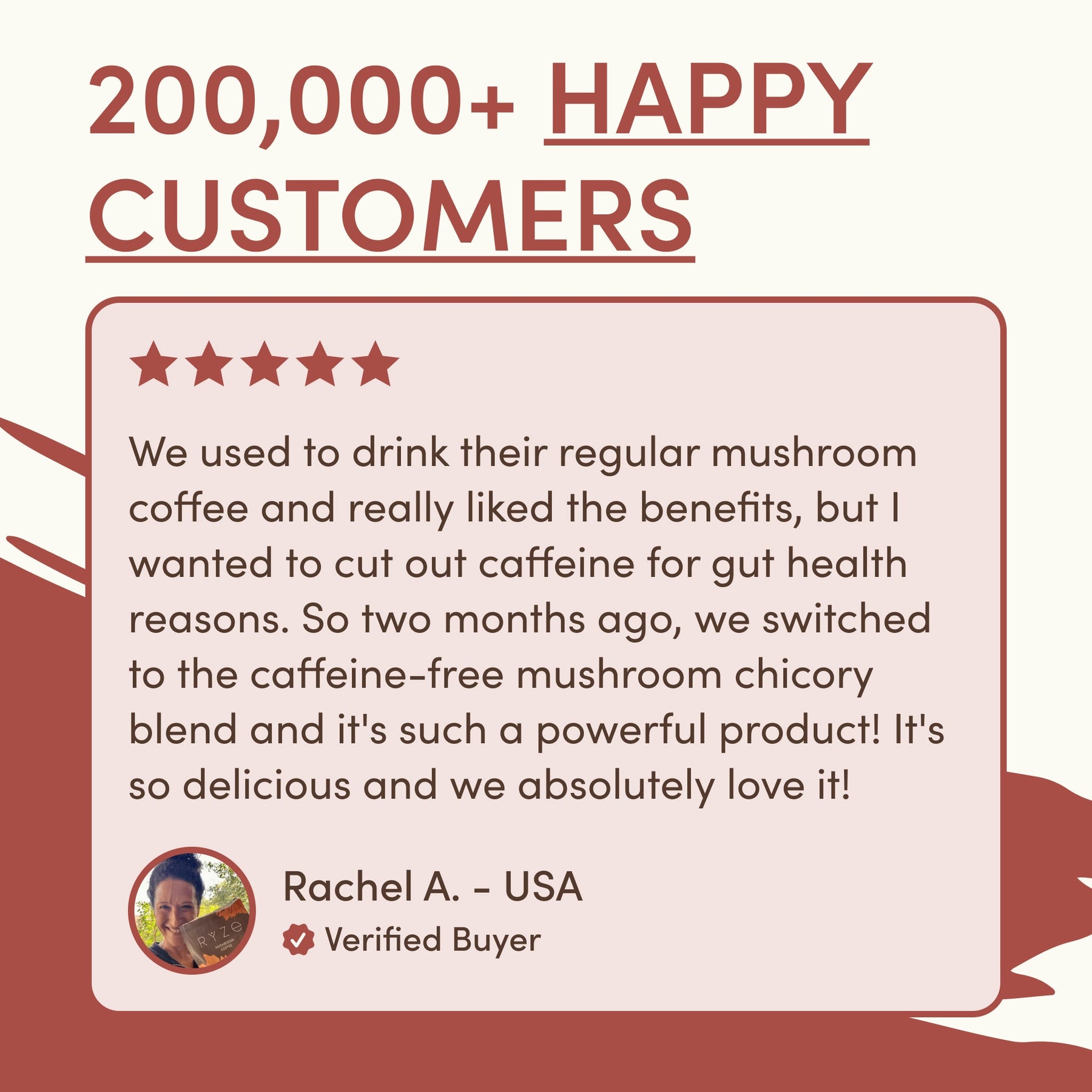 Mushroom Chicory Select M255